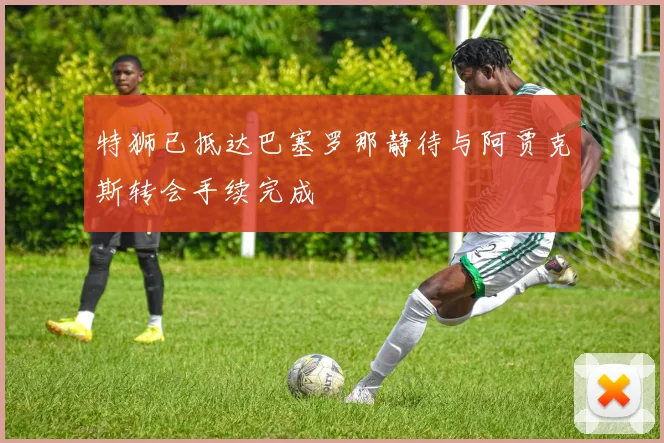 特狮已抵达巴塞罗那静待与阿贾克斯转会手续完成