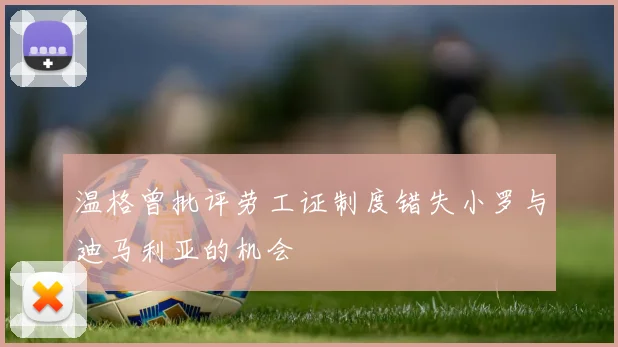 温格曾批评劳工证制度错失小罗与迪马利亚的机会